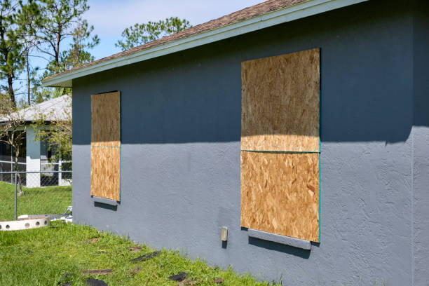 Best Stone Veneer Siding  in Palm Valley, FL